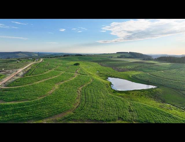 LAND FOR SALE IN MOUNT VERDE